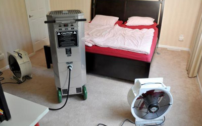 4 Reasons To Consider Heat Treatment For Bed Bug Control