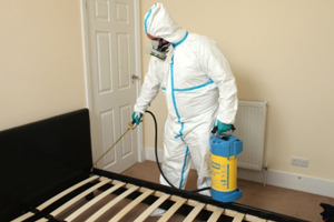 Why it is the most effective method for bed bug extermination?